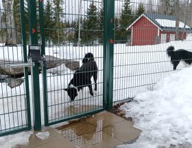 Koirapuisto Lemmikkihoitola Janeterissa