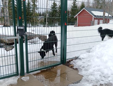 Koirapuisto Lemmikkihoitola Janeterissa